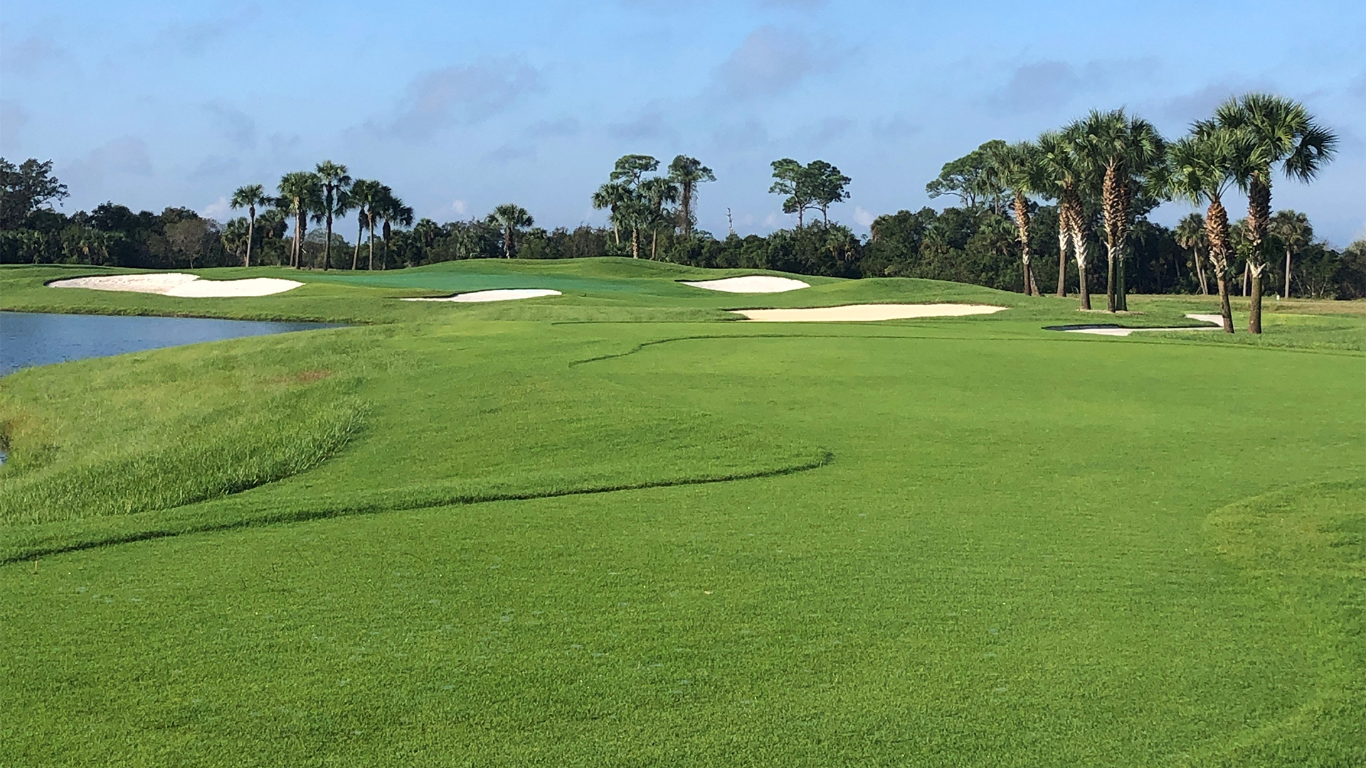 A view of the green for one of our holes.