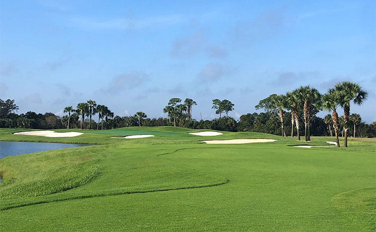 A view of the green for one of our holes.