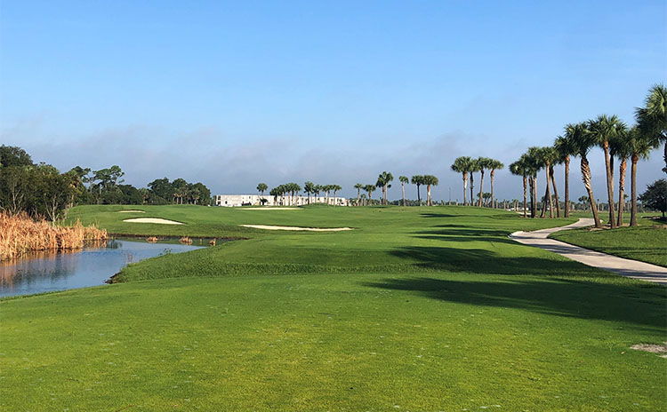 A view of the green for one of our holes.